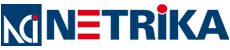 Netrika Consulting India